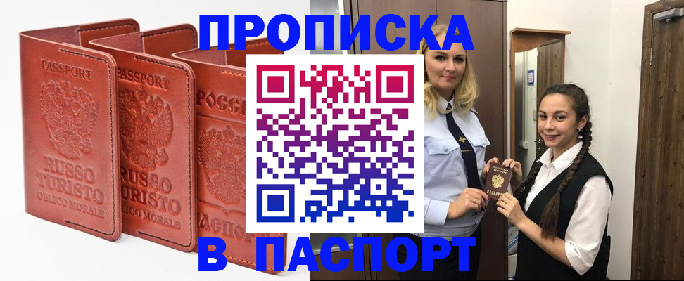 купить прописку в Камчатской области